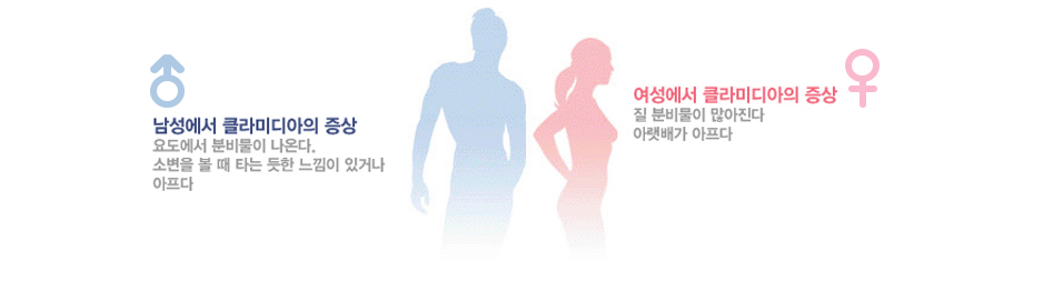 남성과 여성의 클라미디아의 증상