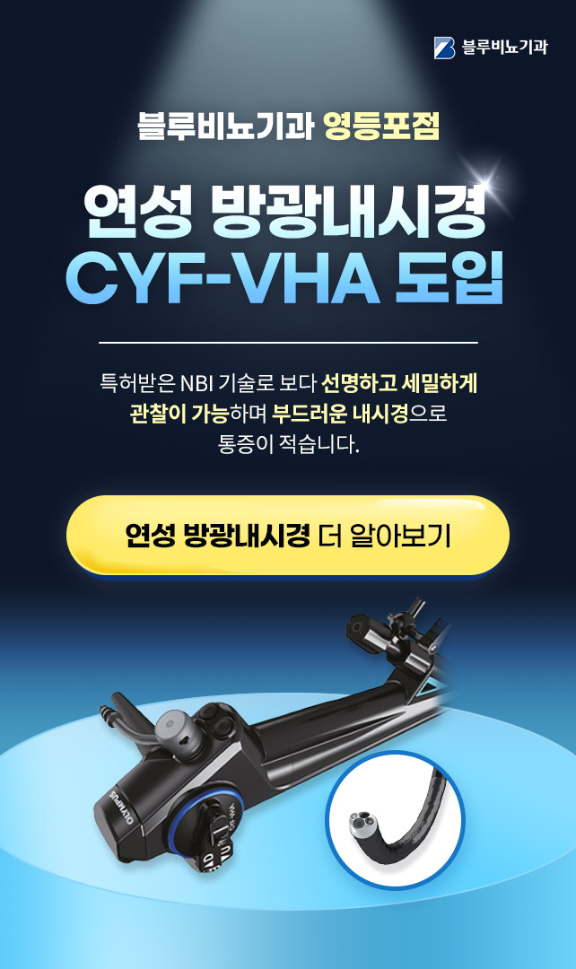 연성방광내시경